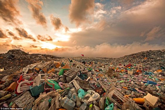 Nhựa mất bao lâu để phân hủy trong môi trường tự nhiên?
